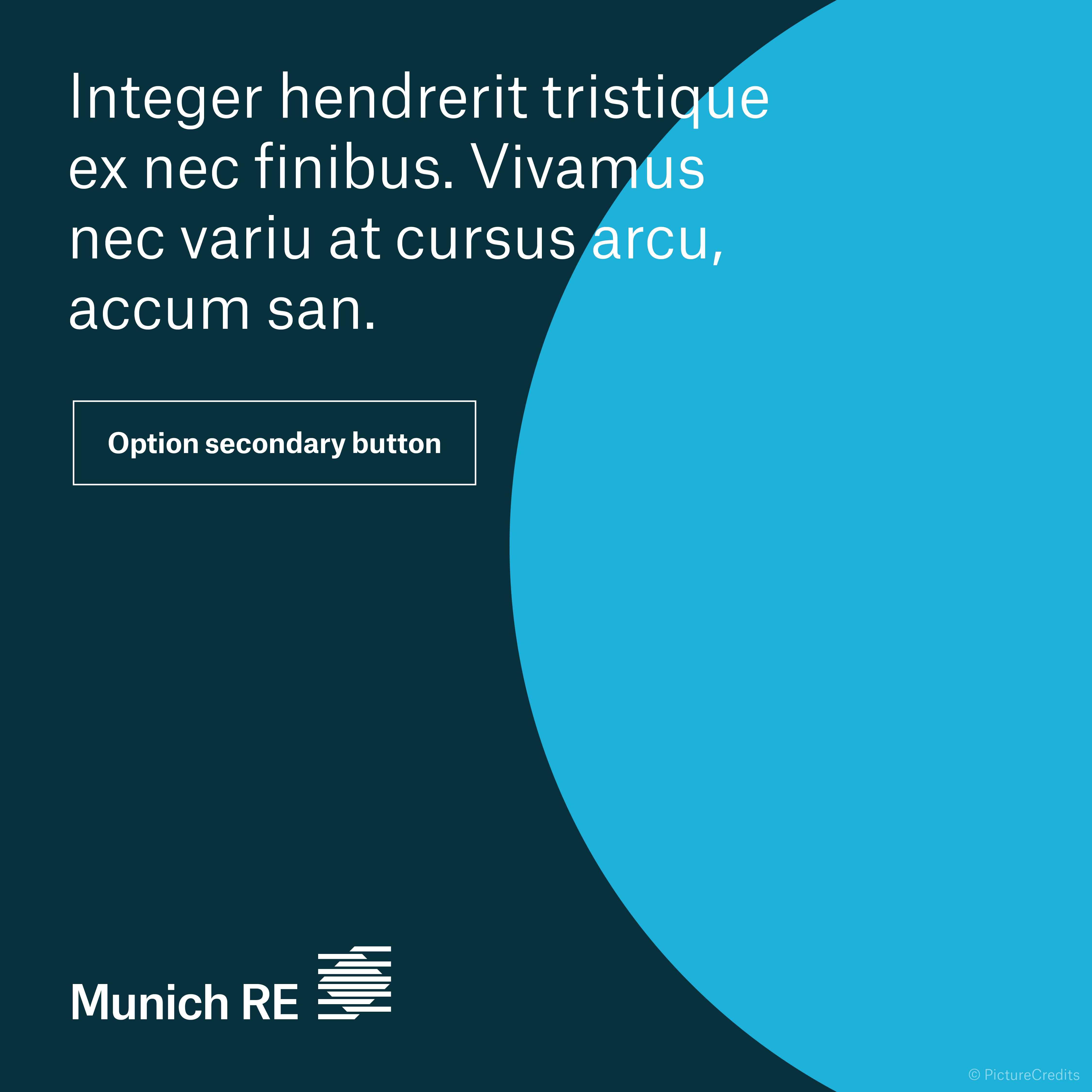 template standard callout