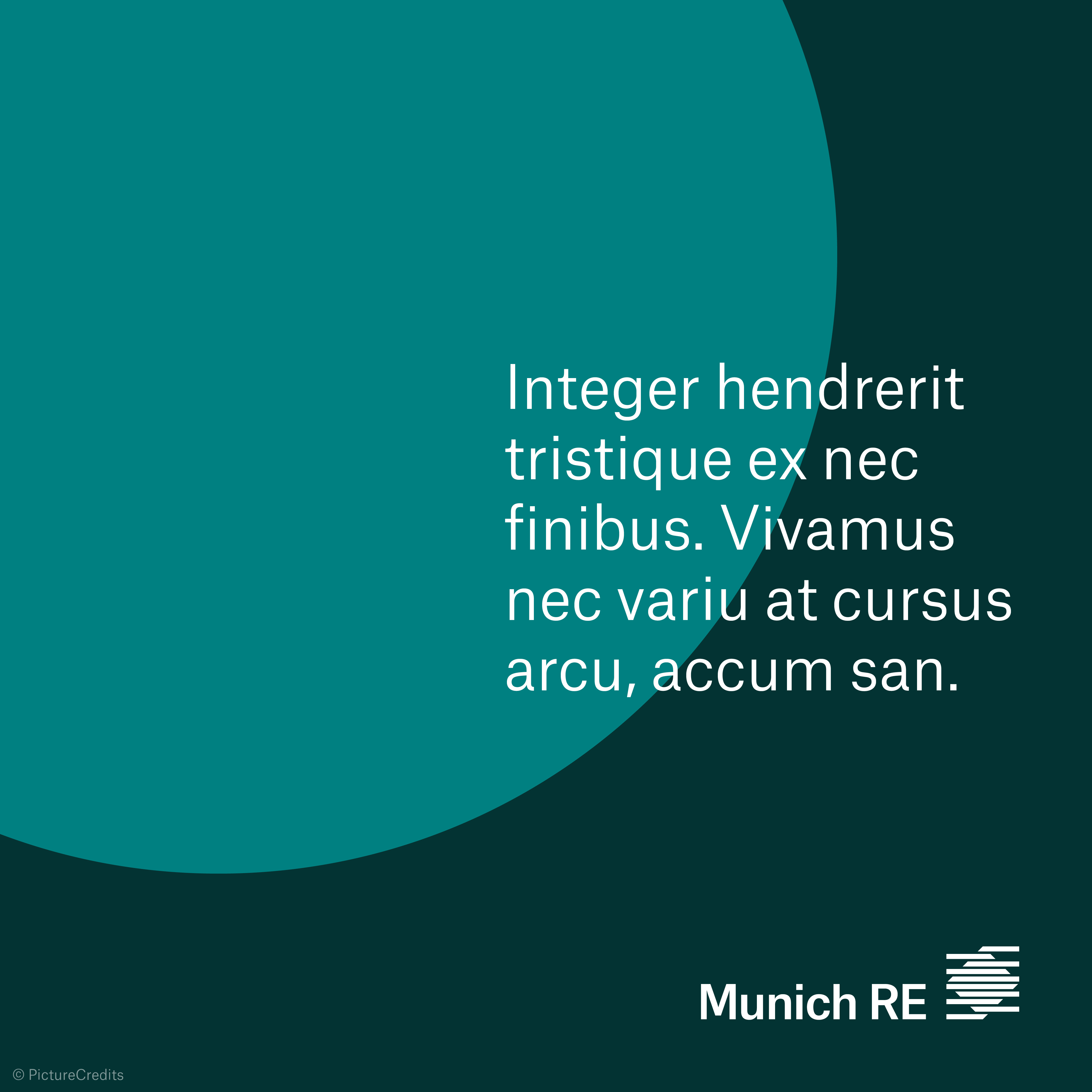 template standard long headline