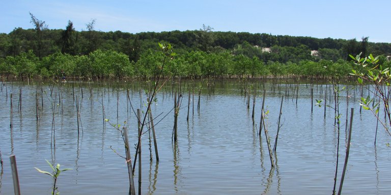 Inspire Section - Image Alt Text