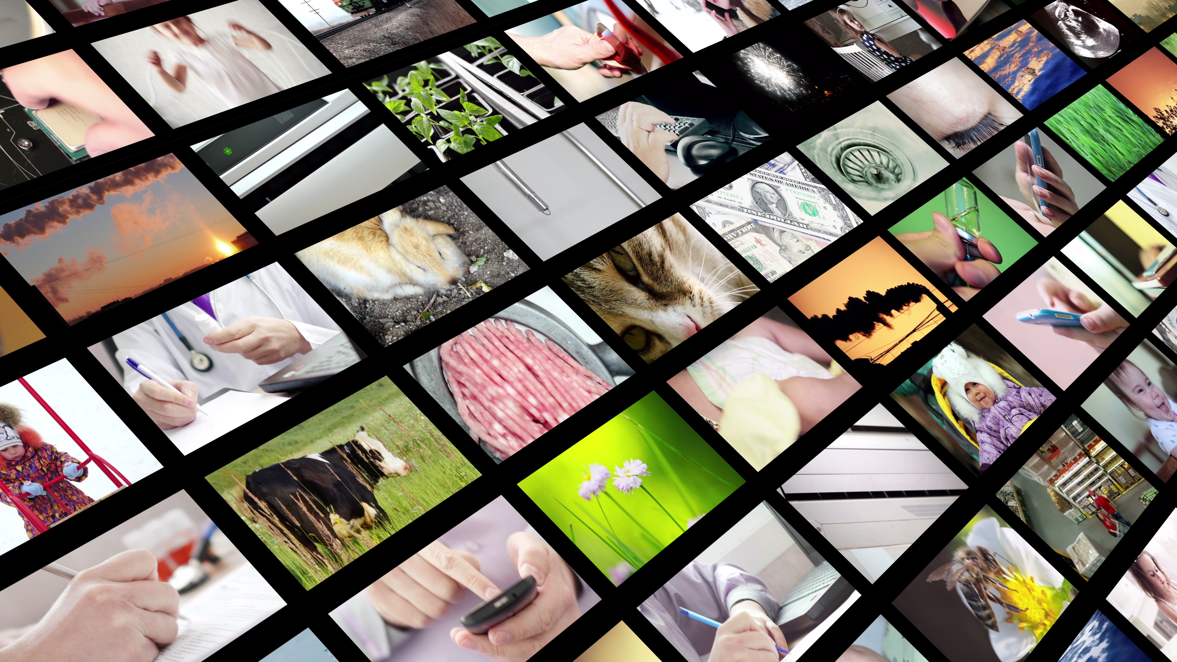 Multimedia Gallery