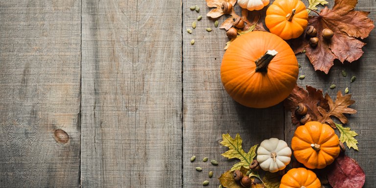 Inspire Section - Image Title Inspire Section - Image Alt Text