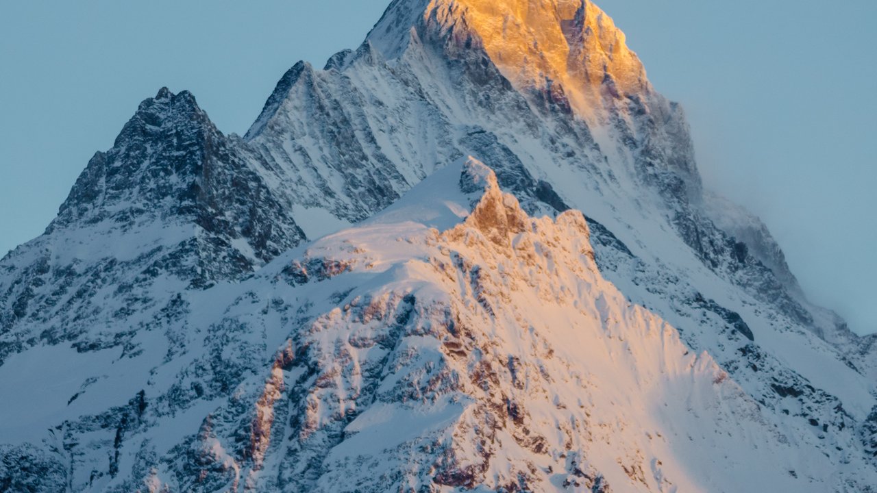 Gallery Item 1 - Image Alt Text