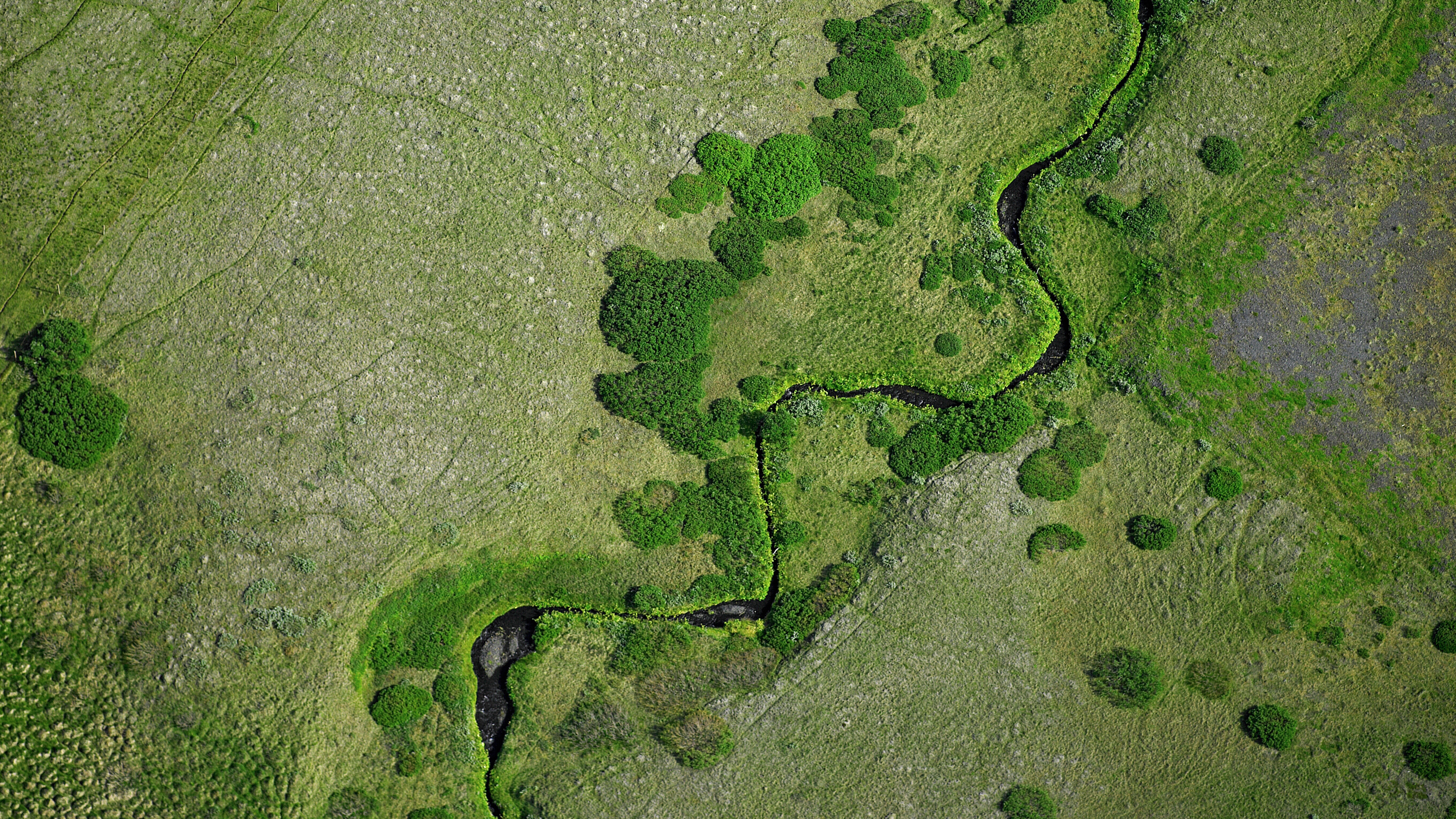 Sitemap