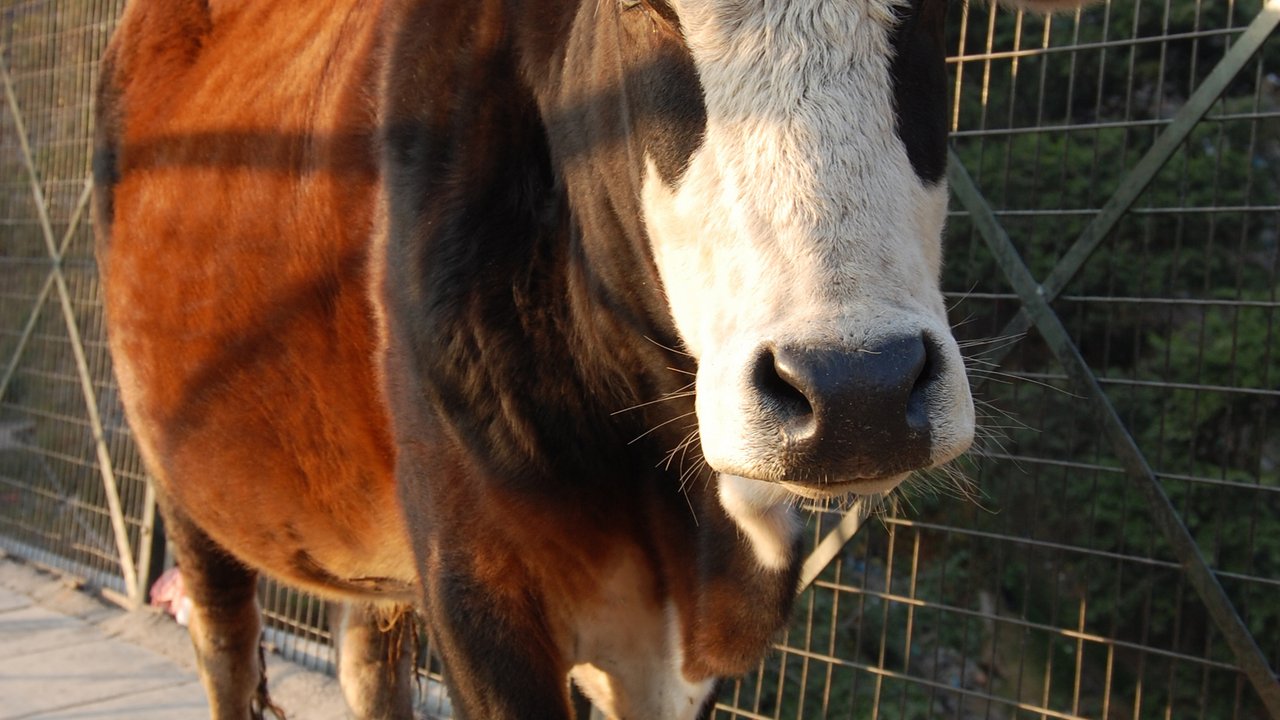 Background Image Teaser - Image Alt Text