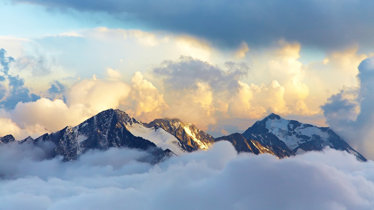 Image Component - Image Alt Text